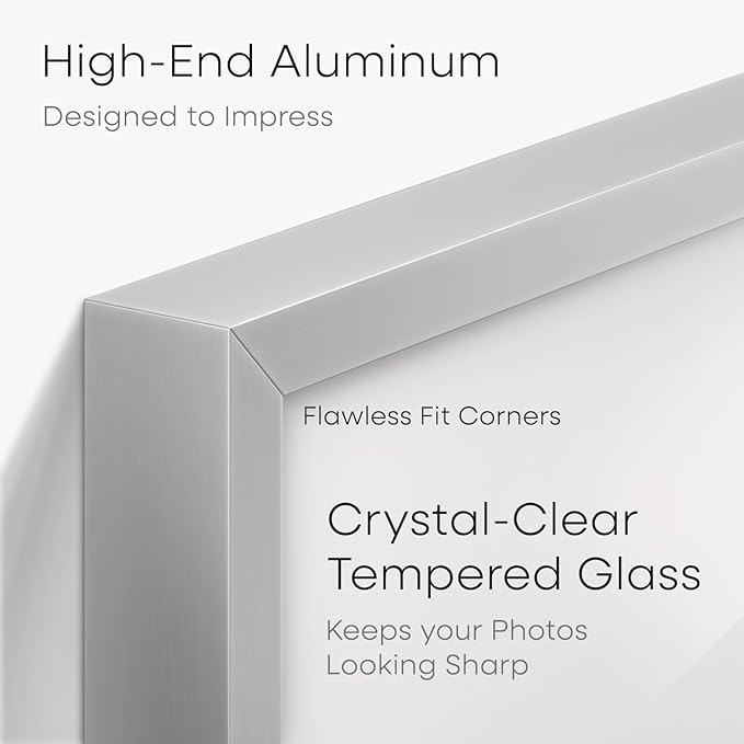 Homeforia Silver 27x40 Poster Frame, Metal Picture Frame with 24x36 Mat, Tempered Glass, Wall Hook Included, Set of 1