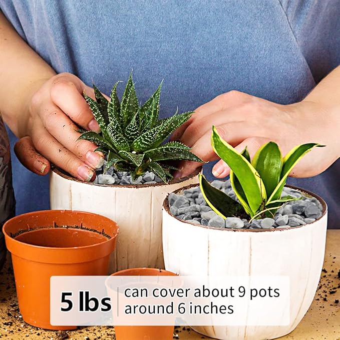 5LB Succulent and Cactus Gravel Pebbles, 1/5 Inch Natural Decorative Polished Stones, River Rocks for Plants, Vases, Aquariums, Terrarium and Outdoor Gardening,Grey