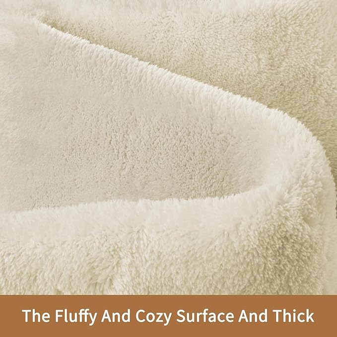 Sour Lemon 5x7 Area Rugs for Living Room, Soft Large Area Rug Fluffy Rugs for Bedroom,Machine Washable Area Rug Non Slip Carpet Rug for Living Room Playroom Kids Room Home Decor