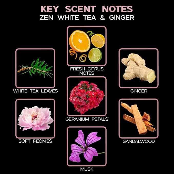 LOVSPA Reed Diffuser Set, Zen White Tea & Ginger Scented Oil Diffuser with Sticks, Home Fragrance Accessories for Bathroom Shelf Decor, Aroma Diffusers for Home or Office Desk, USA Made