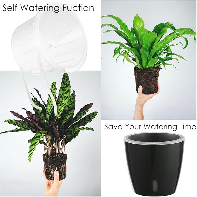 Self-Watering Pots for Indoor Plants, 6-Pack 6.7'' Self Watering Planter with Drainage Holes, Small African Violet Pots with Water Indicator, Clear Wick Pot, Black