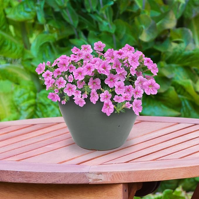Sunnydaze Chalet Large Ceramic Plant Pot - Round Outdoor Glazed Ceramic Planter Pot with Drainage - Gray - 14.5"