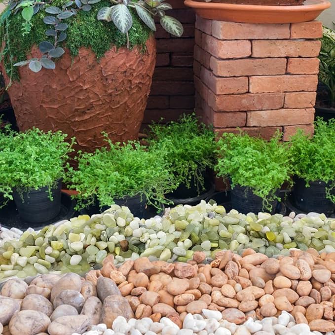 2LB Succulent and Cactus Pebbles, 1/5 Inch Jade Natural Decorative Polished Stones, River Rocks for for Indoor Plants, Vases, Planters and Outdoor Gardening