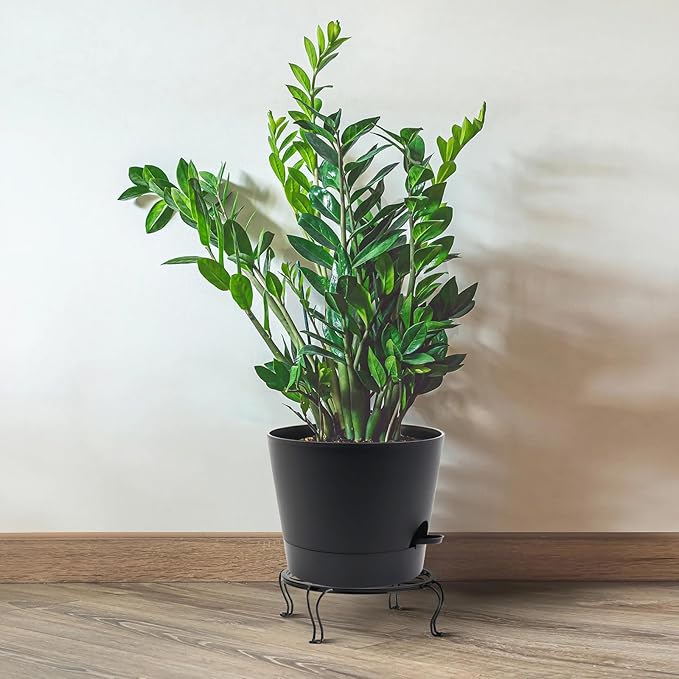 Self Watering Pots for Indoor Plants,12 inch Planters with Drainage Holes Plastic Flower Pots with Deep Reservoir, Grey Speckles