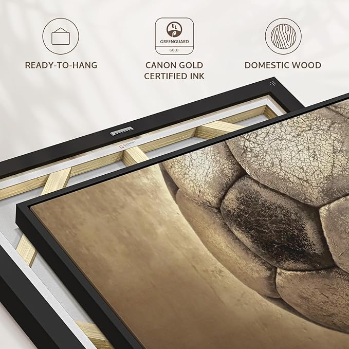 Elephant Stock Worn Soccer Ball Wall Art - Horizontal Framed Canvas - 1-Piece Living Room Wall Decor - Photography sports Canvas Print - Brown and Gray Decor for Wall - 43" X 29"