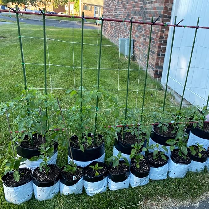 Garden Plant Stakes 48 Inch 4Ft Steel Plant Stick Support, 25 Pack Tomato Stakes for Growing Climbing Plants, Potted Plants, Tomatoes, Trees, Cucumber, Beans, Fences Poles