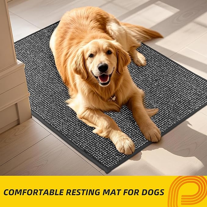 JSEI Dirt Trapper Door Mat 20"x32" Non-Slip Washable Entrance Mat, Dog Doormats, Absorbent & Fade-Resistant Floor Mats, Low Profile Welcome Mats for Entryway, Front Door, and Inside Entrance,Dark Grey