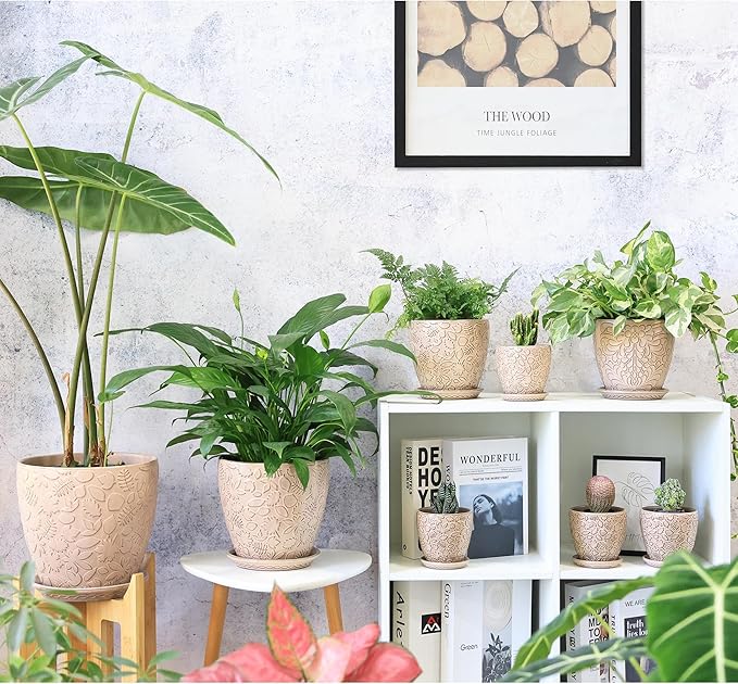 4 Inch Mini Plant Pots, Ceramic Succulent Planter with Drainage Hole and Saucers for Indoor Plants, Small Garden Pots for Succulent, Herb and Flower, Set of 4