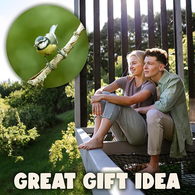 SWISSINNO No Mess Bird Feeder Davos Smart Birds - No Spill Bird Feeder for Outdoor - Mice & Rat Proof - Robust & Reliable for Hanging - Dual Food Chambers - Made in EU - Green