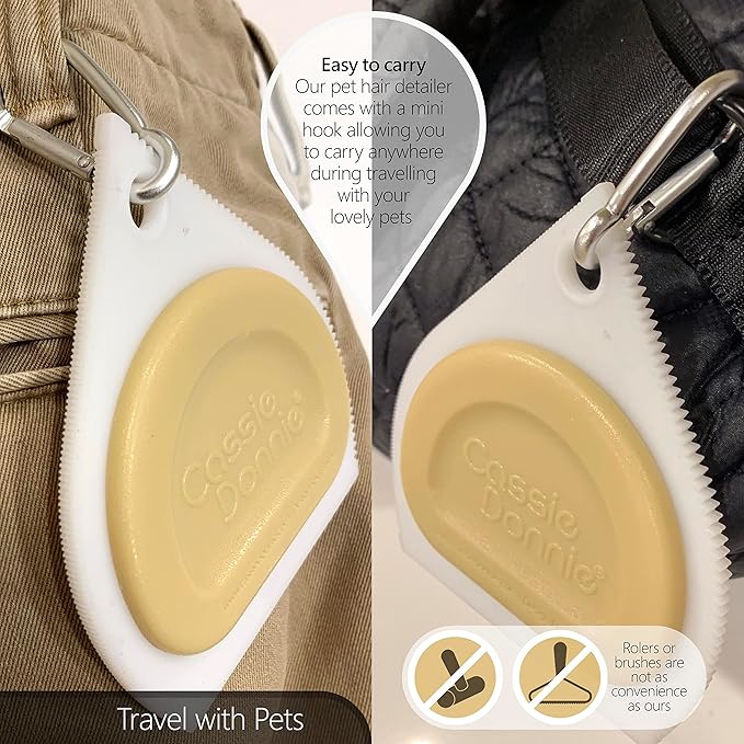 Mini Pet Hair Detailer, Pet Hair Remover for Carpet Couch Bedding Sofa, Car Interior Auto Detailing Supplies, Dog Cat Fur Reusable Brush for Furniture