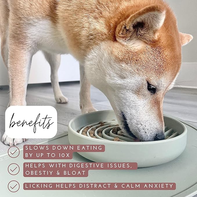 The Slowdown Bowl Silicone Slow Feeder for Dogs & Puppies, Slow Eating, Modern Lick Mat Design, Reduces Gulping, Fits 2 Cups 7.5” Across x 1.5” Tall, Mealtime Challenge, Medium-Honey