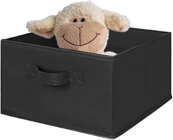 MAX Houser Hanging Shelf Closet Storage Organizer Removable Drawers ，Hanging Storage Organizer Hanging Sweater 2 Sock Underwear Drawers for Closet, Bedroom, Black