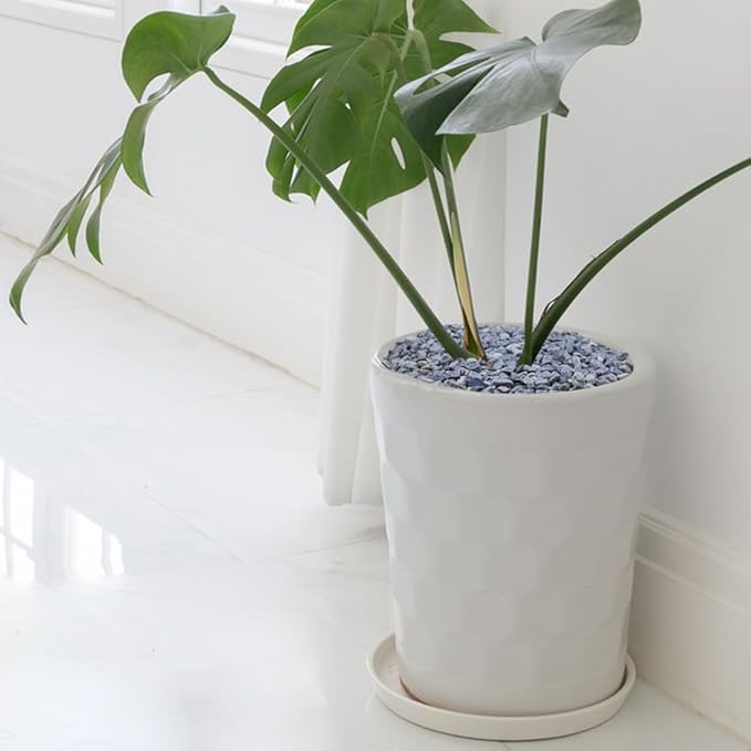 10LB Succulent and Cactus Gravel, 1/5 Inch Natural Decorative Polished Pebbles for Landscaping, Grey River Rocks for Plants, Vases, Aquariums, Terrarium and Outdoor Gardening