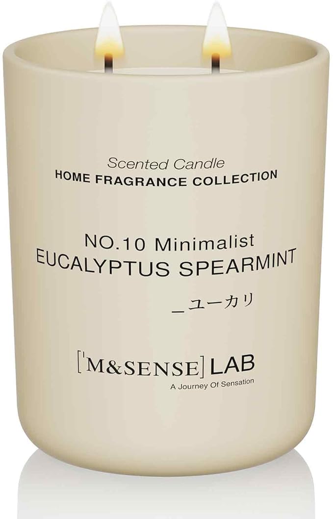 M&SENSE Natural Soy Candle| Eucalyptus Spearmint | 16.6 oz, 95H Burn | Minimalist Scented Candle for Relaxation, Gifting, Home Décor | for Bedroom, Office, Party Large