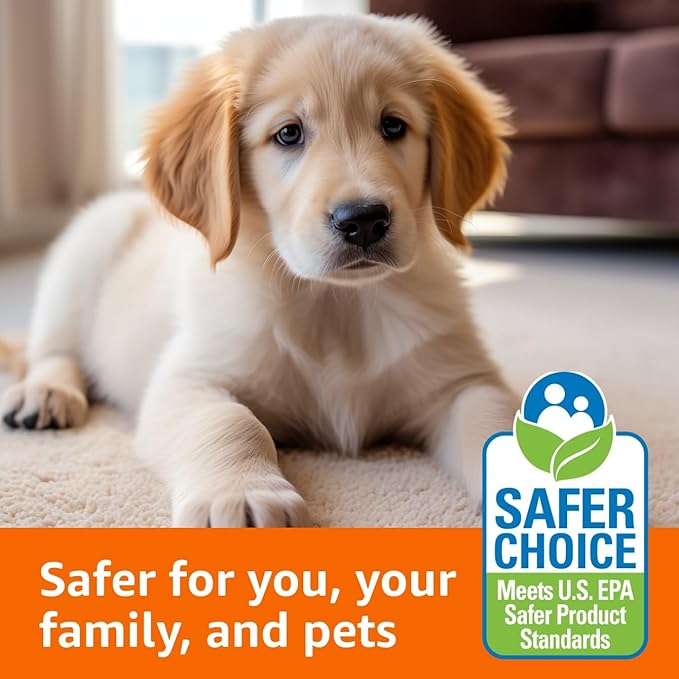 Amazon Basics Carpet Cleaner, Carpet Stain Remover, Fresh Scent, 64 fl oz