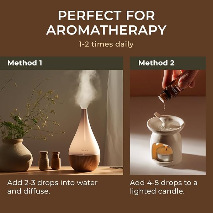 Gya Labs Allspice Essential Oil for Diffuser & Skin - 0.34 Fl Oz - 100% Pure Natural Allspice Oil for Skin, Homemade Items & Candle Making Scent
