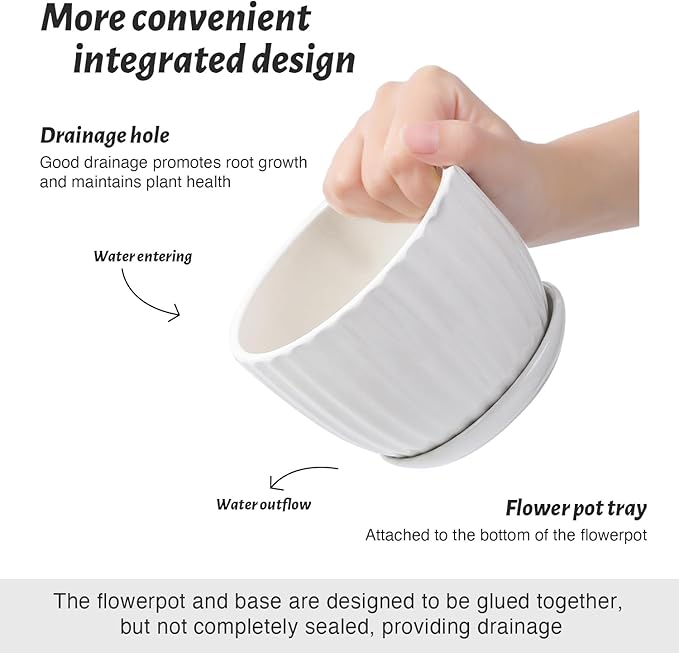 Ceramic Plant Pots with Drainage Holes and Saucers, Round White Flower Pots for Indoor Plant, Diameter 3.3/4.3/5.5 Inches Small Flower Planters Set of 3
