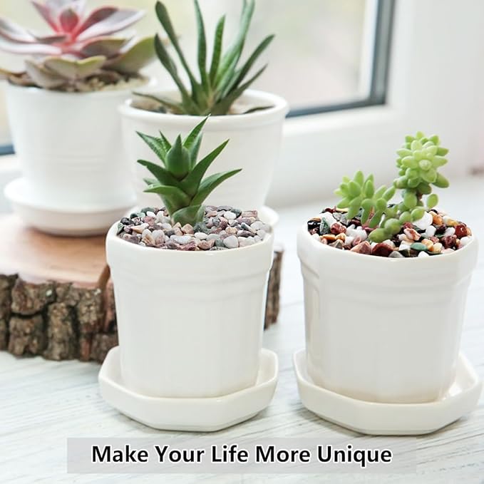 2LB Succulent and Cactus Gravel Pebbles, 1/5 Inch Natural Decorative Polished Stones, River Rocks for Vases Gardening Indoor and Outdoor Decorative Rocks, Colorful