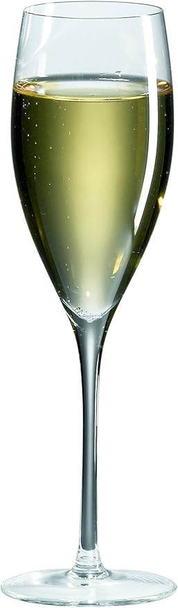 Ravenscroft Crystal Champagne Glass, Set of 4