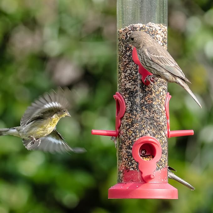 Kingsyard 2 Pack Tube Bird Feeders for Outdoors Hanging, Premium Hard Plastic Bird Feeder with 6 Feeding Ports, Weatherproof & Steel Hanger, Attracting for Wild Birds (Red)