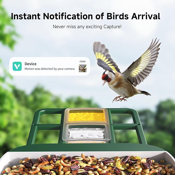 Bird Feeder with Camera AI Identify 2K Live Video Smart Bird Feeder with Camera, 2.4GHZ WiFi Solar Birds House Cameras, Motion Detection Instant Arrival Alerts, Ideal Present for Birds Lovers