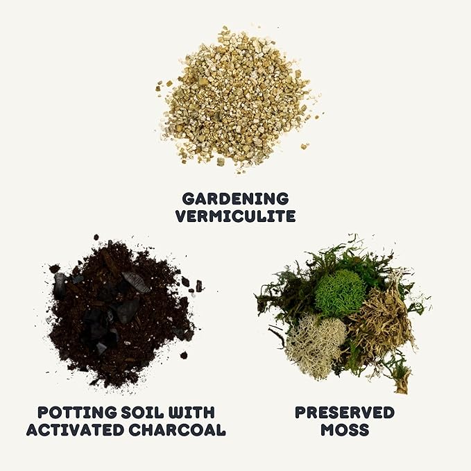 Cute Farms Terrarium Starter Kit | Moss, Vermiculite, Soil, Pebbles, Plant Food, Finishing Tools, Build and Care Guide | DIY Succulent Terrarium for Adults and Kids (Small)