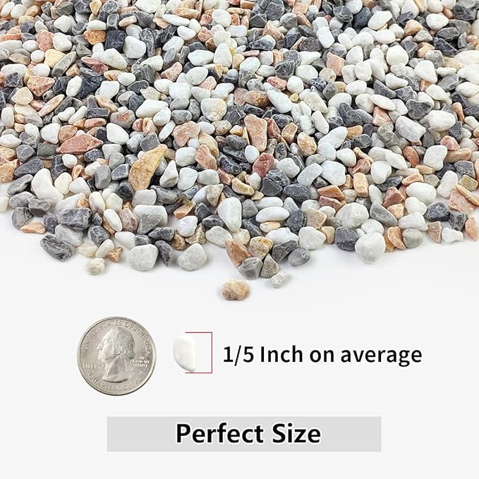2LB Succulent and Cactus Gravel Pebbles, 1/5 Inch Natural Decorative Polished Stones, River Rocks for Vases, Aquariums, Terrarium and Outdoor Gardening, Mixed Color