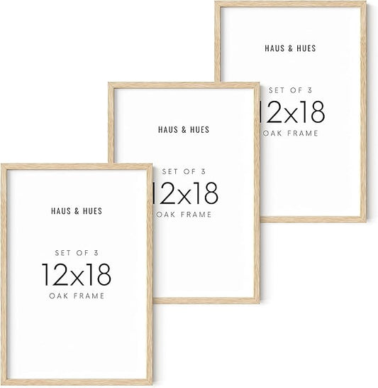 HAUS AND HUES Standalone Beige Oak Frame Set of 3-12x18