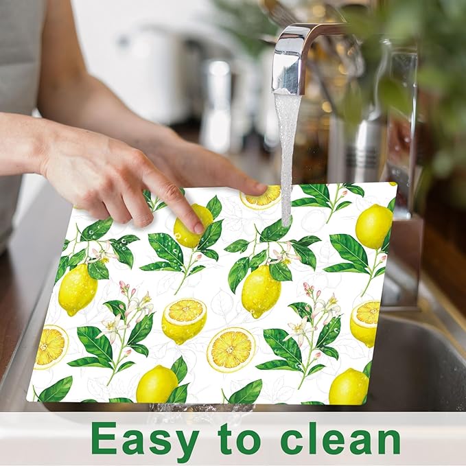 Lemon Placemats Set of 6 Summer Plastic Table Mats Yellow Lemonade Theme Place Mats Washable Vinyl Rustic Holiday Table Decoration for Indoor Outdoor Party Kitchen Dining