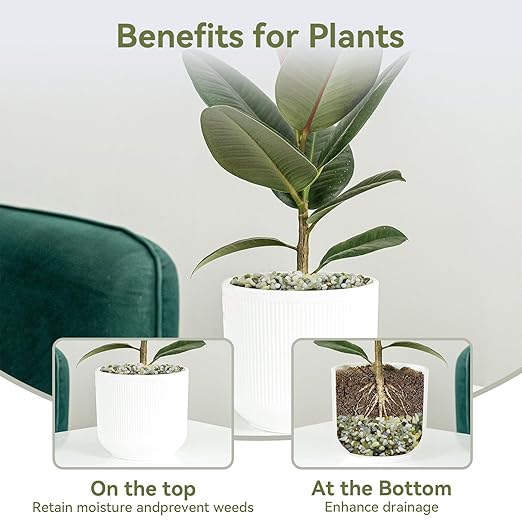 2.5LB Succulent and Cactus Pebbles, 1/5 Inch Jade Pebbles for Indoor Plants, Decorative Gravel for Vases, Bamboo, Succulent, Terrarium, Crafts, Cactus