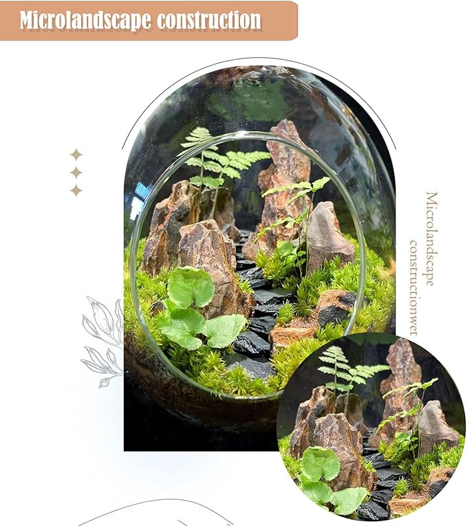 Dragon Rocks Aquariums Stones Natural Rocks for Aquascaping, Aquariums, Terrariums, Vivariums Decorative Stone,Reptile Enclosures,Paludariums,and Gardens-10LB（2 to 7 inch）