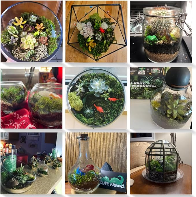 Cute Farms Terrarium Starter Kit | Moss, Vermiculite, Soil, Pebbles, Plant Food, Finishing Tools, Build and Care Guide | DIY Succulent Terrarium for Adults and Kids (Medium)