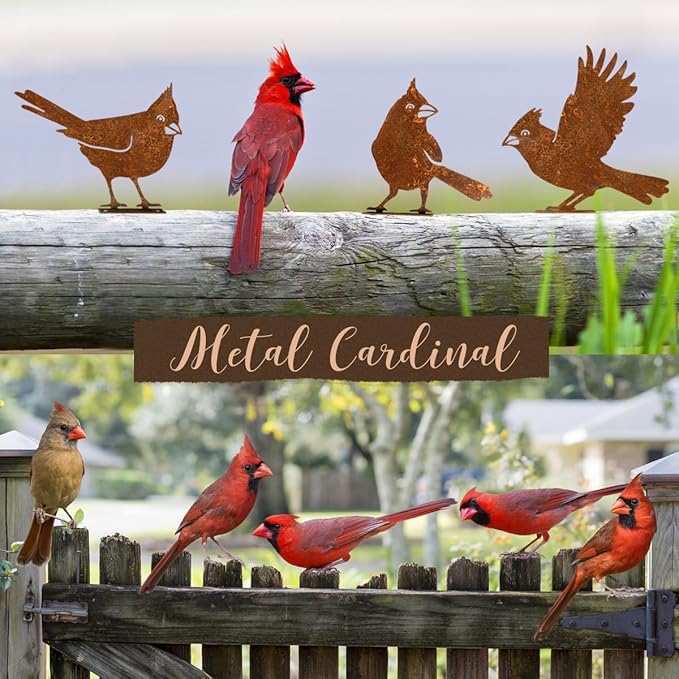 5PCS Rusty Birds Decoration, Garden Decor Spring Decorations Outdoor, Metal Birds Yard Decor Perfect Yard Art and Large Outdoor Ornaments, Cardinal Gifts，Metal Bird Silhouette Statues