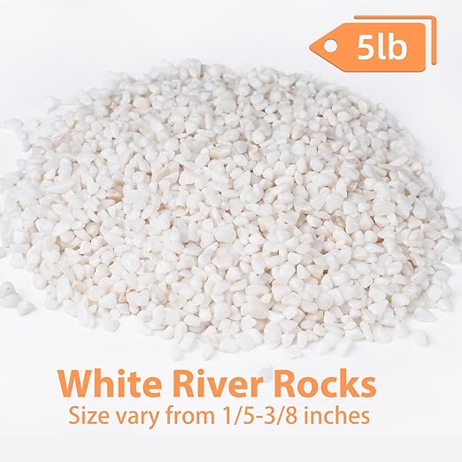 5 lbs White Aquarium Gravel, 1/5 Inch White Rocks for Plants, Small Pebbles for Vases, Succulents, Bamboo, Natural Decorative Pebbles for Plants Drainage, Cactus, Crafts