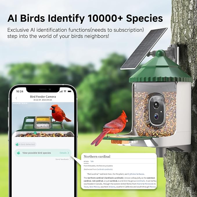 Bird Feeder with Camera AI Identify 2K Live Video Smart Bird Feeder with Camera, 2.4GHZ WiFi Solar Birds House Cameras, Motion Detection Instant Arrival Alerts, Ideal Present for Birds Lovers
