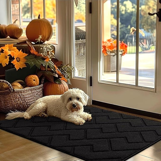 hicorfe Indoor Door Mat,Non Slip Door Mats,32"x48" Front Back Door Mat Rubber Backing,Absorbent Resist Dirt Entrance Inside Floor Mats for Entryway Washable Low-Profile(Black)