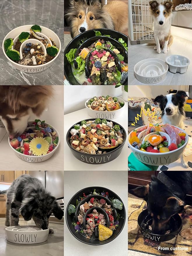 Slow Feeder Dog Bowl - Ceramic 3 Cup Puzzle Maze for Medium & Large Breeds, Puppies & Fast Eaters, Pet Food Dish Black