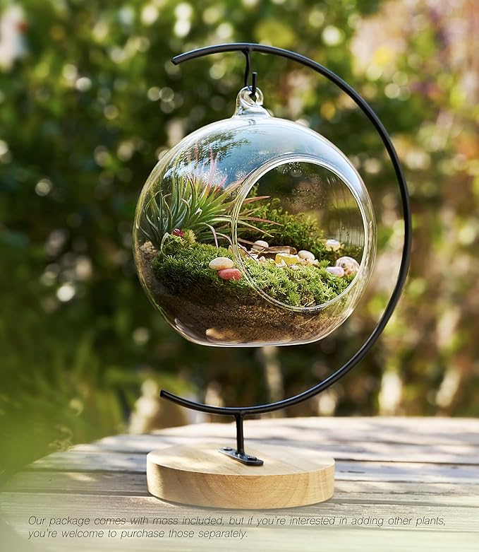 15-Piece Terrarium Kit with Live Moss – DIY Glass Globe Set with Tools, Soil, Stones & Spray Bottle – Indoor Mini Garden Gift for Plant Lovers, Home Decor & Zen Craft