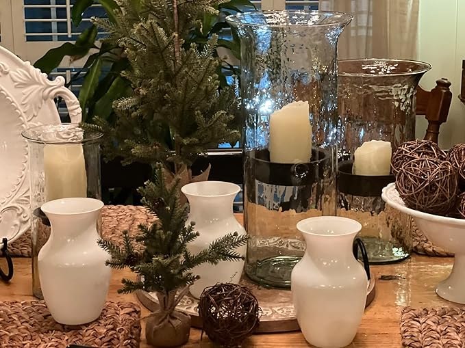 Floral Supply Online - 8" White Rose Vase and Flower Guide Booklet - Decorative Glass Flower Vase for Floral Arrangements, Weddings, Home Decor or Office.