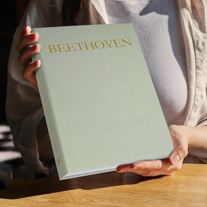 Aesthetic Decorative Books -Set of 2 Minimalist Linen Hardcover Faux/Fake Books for Coffee Table Home Decor Living Room Decoration, Photo Storage or as a Keepsake Box(Sage-beige-musician)