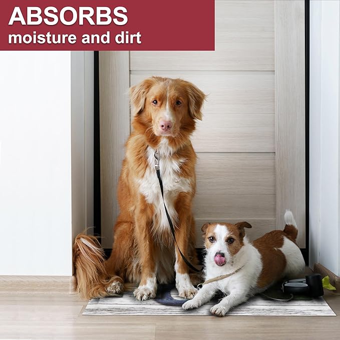 Floor Mat - for Indoor and Outdoor Use - Doormat - Non-Slip - Front Door Shoe Scraper - Size: 17x29