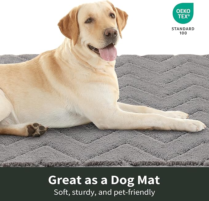 Stiio Front Door Mat Indoor Outdoor Entrance, Absorbent Muddy Dirt Resist Doormat, Low Profile Washable Fade Resistant Entryway Mat for Entry Patio Porch, 24x35.5 Inches Grey