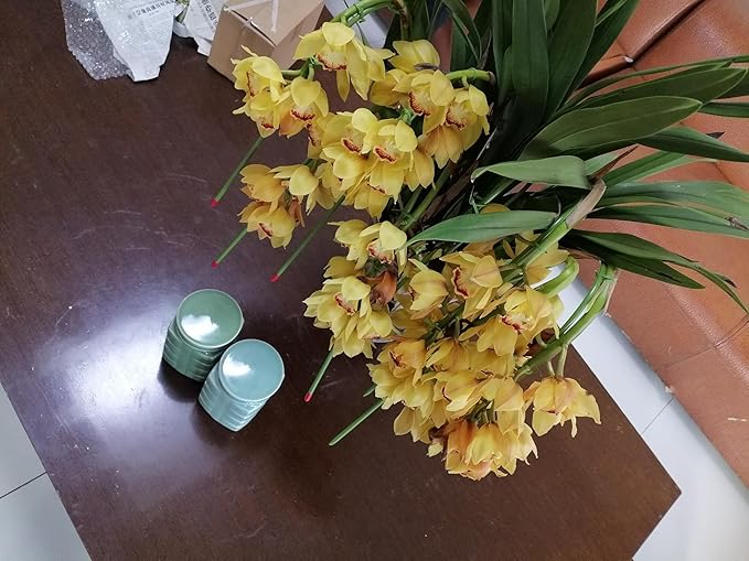 UNESCO Heritage Longquan Celadon Tea Canister Set - Dual Ceramic Jars, 900ml Airtight Storage with Plum Green & Powder Blue Glazes | Elegant Chinese Craftsmanship