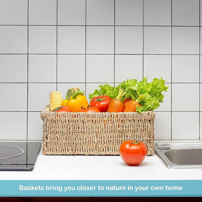 Natural Seagrass Storage Basket with Handle, Rectangular Woven Organizer Bin for Living Room or Shelf, Decorative Storage Basket, Medium Size 13.4 x 9.3 x 4.9 Inches