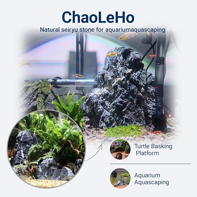 Natural Rocks Seiryu Stones Aquariums Stones for Aquascaping, Aquariums, Terrariums, Vivariums Decorative Stone,Reptile Enclosures,Paludariums,and Gardens-10LB（2 to 7 inch）