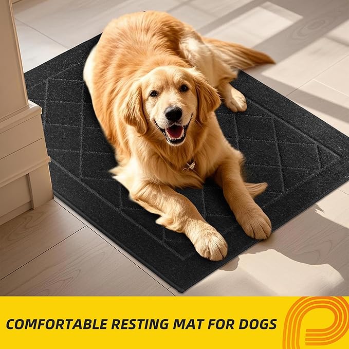 JSEI Dirt Trapper Door Mat 32"x48", Non-Slip Washable Entryway Mats, Dog Door Mat, Stain Resistant and Absorbent Floor Mats, Low Profile Welcome Mat for Front Back Door, Black