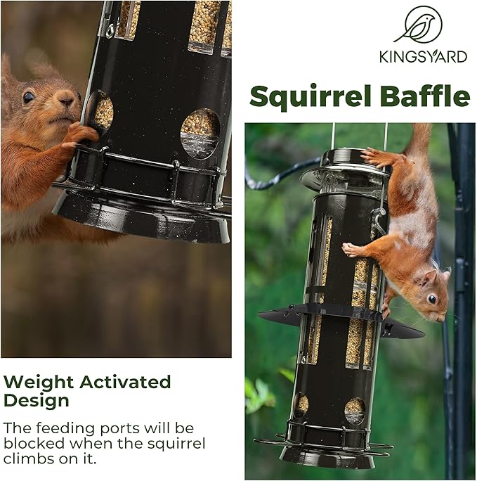 Kingsyard Squirrel Proof Bird Feeder with Removable Base, All Metal, Tube Bird Feeders for Outdoors Hanging, Easy to Clean & Refill, Black