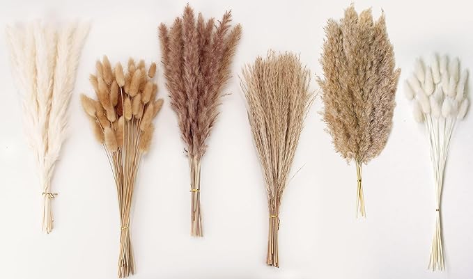 Dried Pampas Grass Decor, 120 PCS Pampas Grass with Bunny Tails Dried Flowers, Reed Grass Bouquet for Wedding, Boho Flowers, Home Table Decor, Rustic Farmhouse Party (White and Brown)