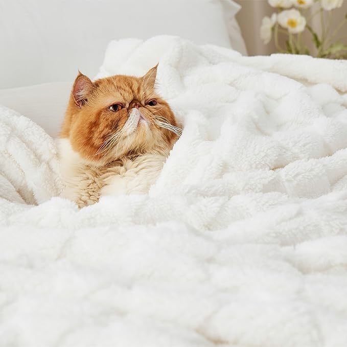 Bedsure GentleSoft Blankets Queen Size for Bed - Super Soft Cozy Blanket for Women Men Girls, Large Fuzzy Fleece Throw for Bedroom Decor, White, 90x90 Inches