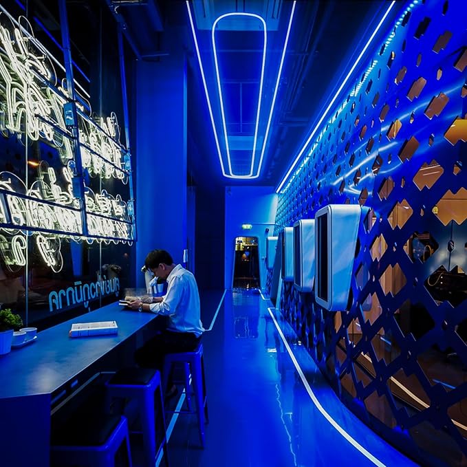 GZBtech Flexible LED Neon Rope Lights 33FT,AC 110-120V Waterproof Strip Light, 120 LEDs/M Cuttable Connectable Neon Lighting for Indoor Outdoor Home Decor/Commercial Building Use-Blue 10M